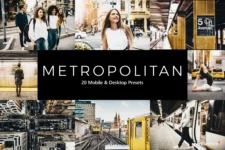Metropolitan