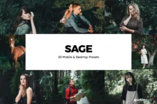 Sage Luts